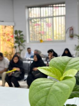 تصویر گالری مهدی شیبانیان 4