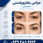 تصویر گالری افسانه ملک پور 3