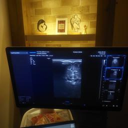 تصویر گالری افشین کریم نژادکلشتری 6