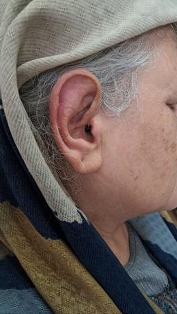 تصویر گالری سیروان نجفی 4