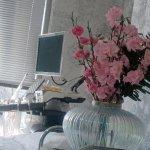 تصویر گالری فرین رجب زاده 3