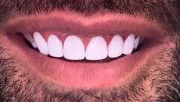 تصویر گالری سعید مزیدی 9