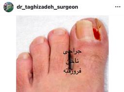تصویر گالری محمدرضا تقی زاده 14
