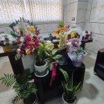 تصویر گالری فاطمه شاکرمی 4
