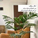تصویر گالری سیده نفیسه فرهانیان 1