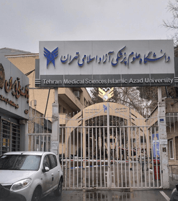 تصویر گالری آرمین برهان 2