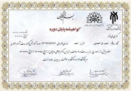 تصویر گالری میثم یاراحمدی 4
