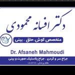 تصویر گالری افسانه محمودی 1