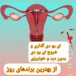 تصویر گالری خدیجه حسنلو 6