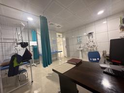 تصویر گالری سارا کارگر 1