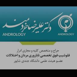 تصویر گالری علیرضا خردمند 3