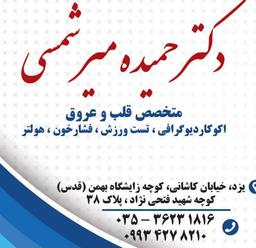 تصویر گالری حمیده میرشمسی 1