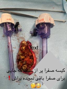 تصویر گالری محمدرضا تقی زاده 7