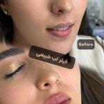 تصویر گالری میلاد گندمی محمدآبادی 8