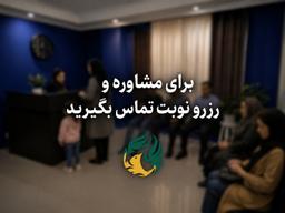 تصویر گالری سیدمصطفی مصطفوی 3