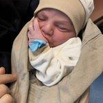 تصویر گالری مهدیه رحمتی پناه 9
