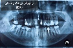 تصویر گالری نسرین امینی 24