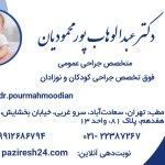 تصویر گالری عبدالوهاب پور محمودیان 1