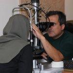 تصویر گالری حامد قاسمی 2