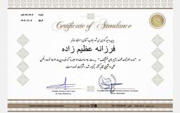 تصویر گالری فرزانه عظیم زاده 1