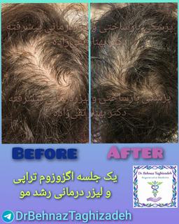 تصویر گالری بهناز تقی زاده 3