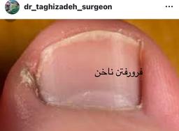 تصویر گالری محمدرضا تقی زاده 13