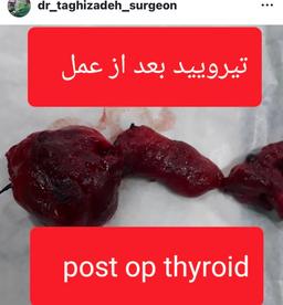تصویر گالری محمدرضا تقی زاده 10