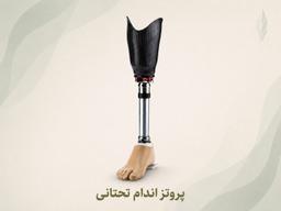 تصویر گالری محمد طهماسبی 3