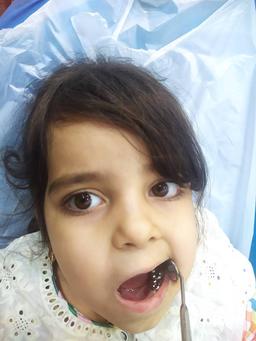 تصویر گالری مینا یزدی زاده 1