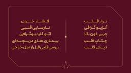 تصویر گالری محمدمهدی احمدی چگنی 6