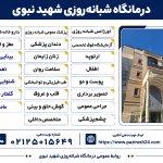 تصویر گالری زهرا نفر 1