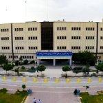 تصویر گالری محمدامین محمدی 1