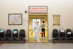تصویر گالری آرمین برهان 37