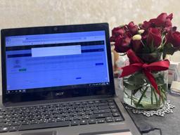 تصویر گالری دلارام زیراچی 1