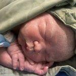 تصویر گالری مهدیه رحمتی پناه 4