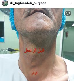 تصویر گالری محمدرضا تقی زاده 9