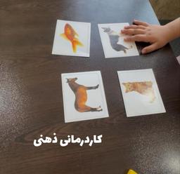 تصویر گالری مهدی احمدیان 6
