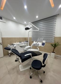 تصویر گالری مهرنوش اکرمی 3