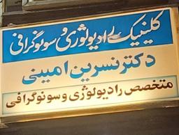 تصویر گالری نسرین امینی 25