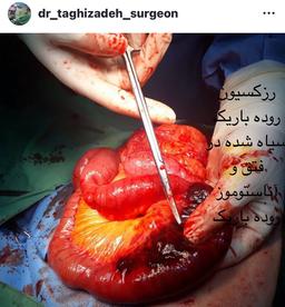تصویر گالری محمدرضا تقی زاده 12