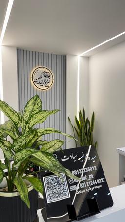 تصویر گالری سیده مرضیه سیادت 3
