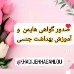 تصویر گالری خدیجه حسنلو 7