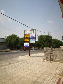 تصویر گالری ساناز سلطانی پیکانی 1