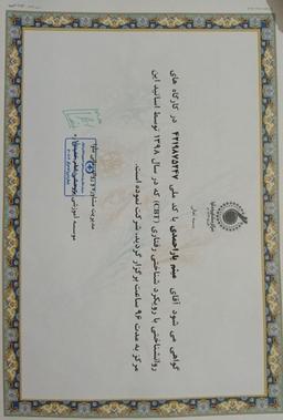 تصویر گالری میثم یاراحمدی 3