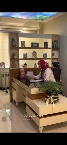 تصویر گالری سونیا جنابی شلمانی 1
