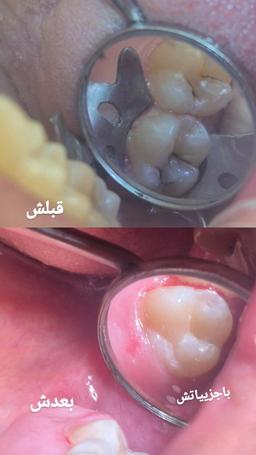تصویر گالری رضا نوروززاده 2