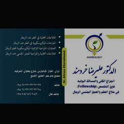 تصویر گالری علیرضا خردمند 4