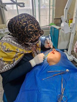 تصویر گالری فائزه نبوی 8