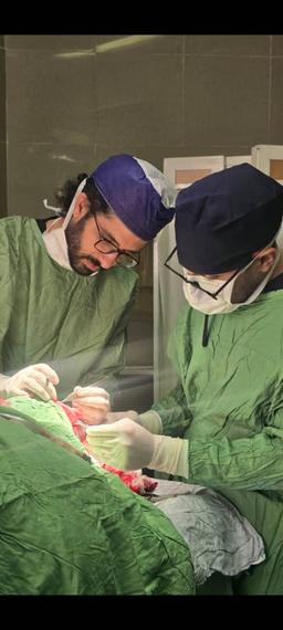 تصویر گالری علی عابدی 16