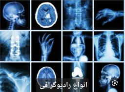 تصویر گالری نسرین امینی 12